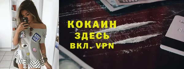 apvp Белокуриха