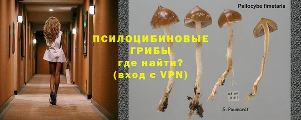 молекула духа Беломорск