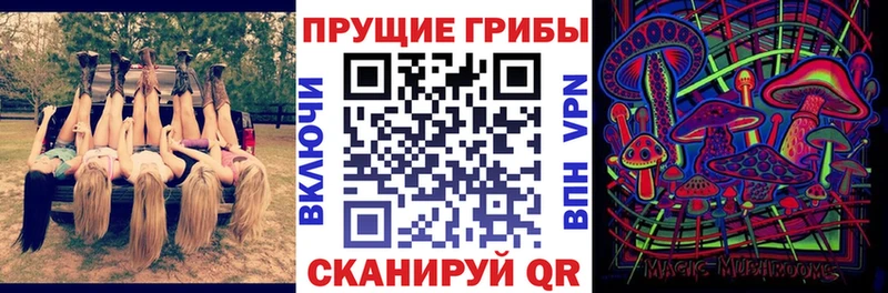 Галлюциногенные грибы прущие грибы  Обь 